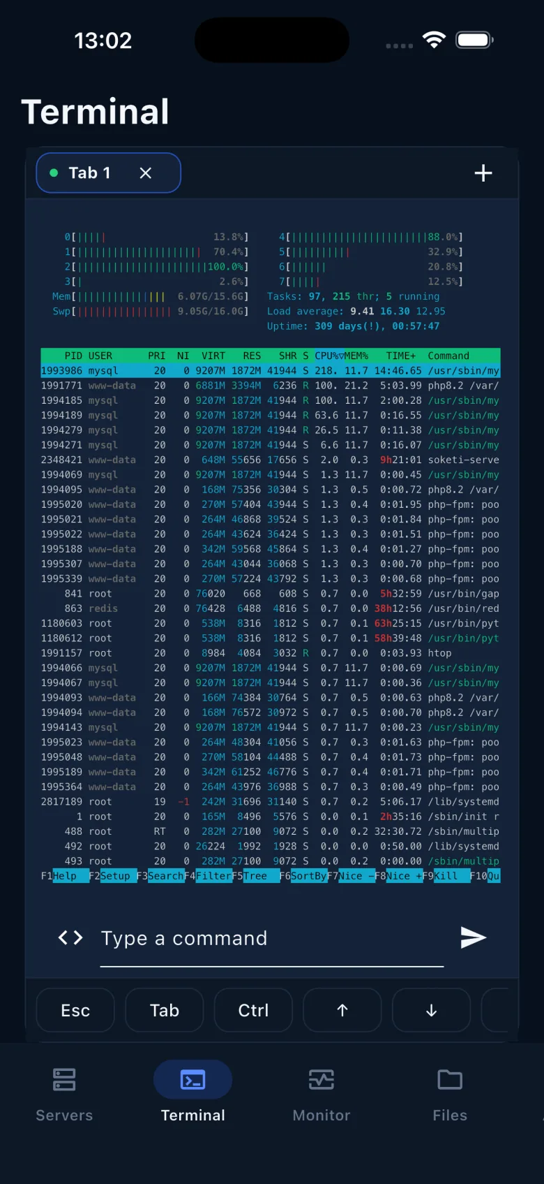 TermiShell terminal session on iPhone